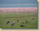 tanzania-kenia-0045