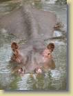 tanzania-kenia-0046