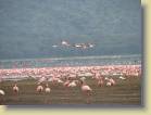 tanzania-kenia-0047