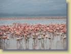 tanzania-kenia-0049