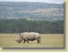 tanzania-kenia-0050