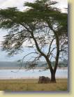 tanzania-kenia-0051