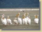 tanzania-kenia-0055
