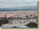 tanzania-kenia-0056