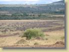 tanzania-kenia-0069