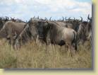 tanzania-kenia-0070