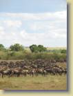 tanzania-kenia-0071