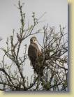 tanzania-kenia-0072
