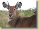 tanzania-kenia-0073