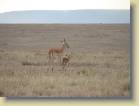 tanzania-kenia-0074
