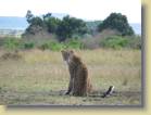 tanzania-kenia-0077