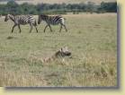 tanzania-kenia-0078
