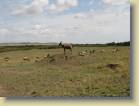 tanzania-kenia-0079