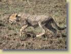 tanzania-kenia-0107