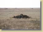 tanzania-kenia-0108