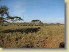 tanzania-kenia-0110