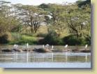 tanzania-kenia-0111