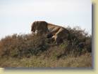 tanzania-kenia-0112
