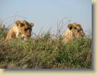 tanzania-kenia-0113