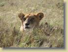 tanzania-kenia-0115