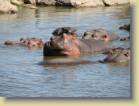 tanzania-kenia-0116