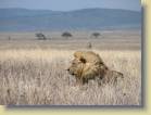 tanzania-kenia-0117