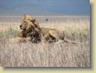 tanzania-kenia-0118