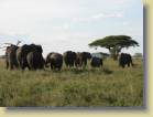 tanzania-kenia-0120