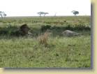 tanzania-kenia-0121