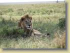 tanzania-kenia-0122