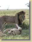 tanzania-kenia-0123