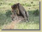 tanzania-kenia-0124