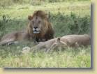 tanzania-kenia-0125