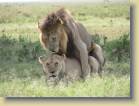 tanzania-kenia-0126