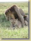 tanzania-kenia-0127