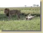 tanzania-kenia-0128