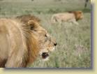 tanzania-kenia-0129