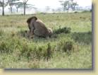 tanzania-kenia-0130