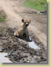 tanzania-kenia-0132