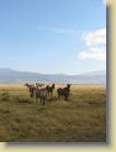 tanzania-kenia-0135