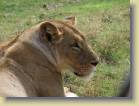 tanzania-kenia-0136