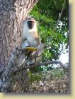 tanzania-kenia-0150