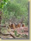 tanzania-kenia-0156