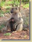 tanzania-kenia-0157