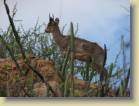 tanzania-kenia-0158