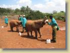 tanzania-kenia-0161