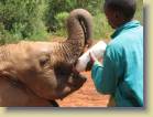 tanzania-kenia-0162
