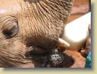 tanzania-kenia-0163