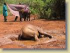 tanzania-kenia-0164