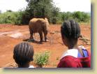tanzania-kenia-0165